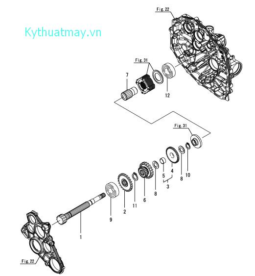 Trục phụ